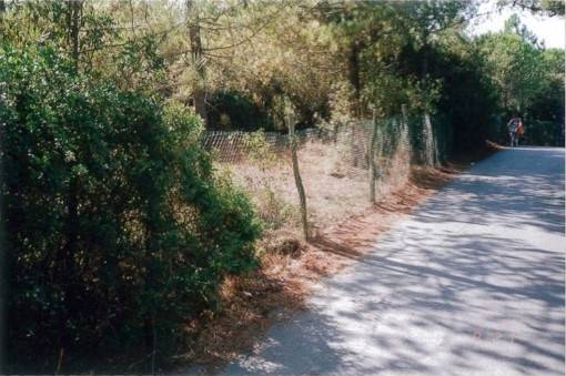 Terreno a Castagneto carducci - Foto 2