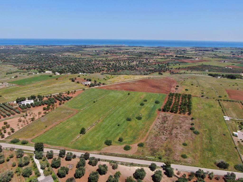 Terreno a Carovigno in Serranova - Foto 3