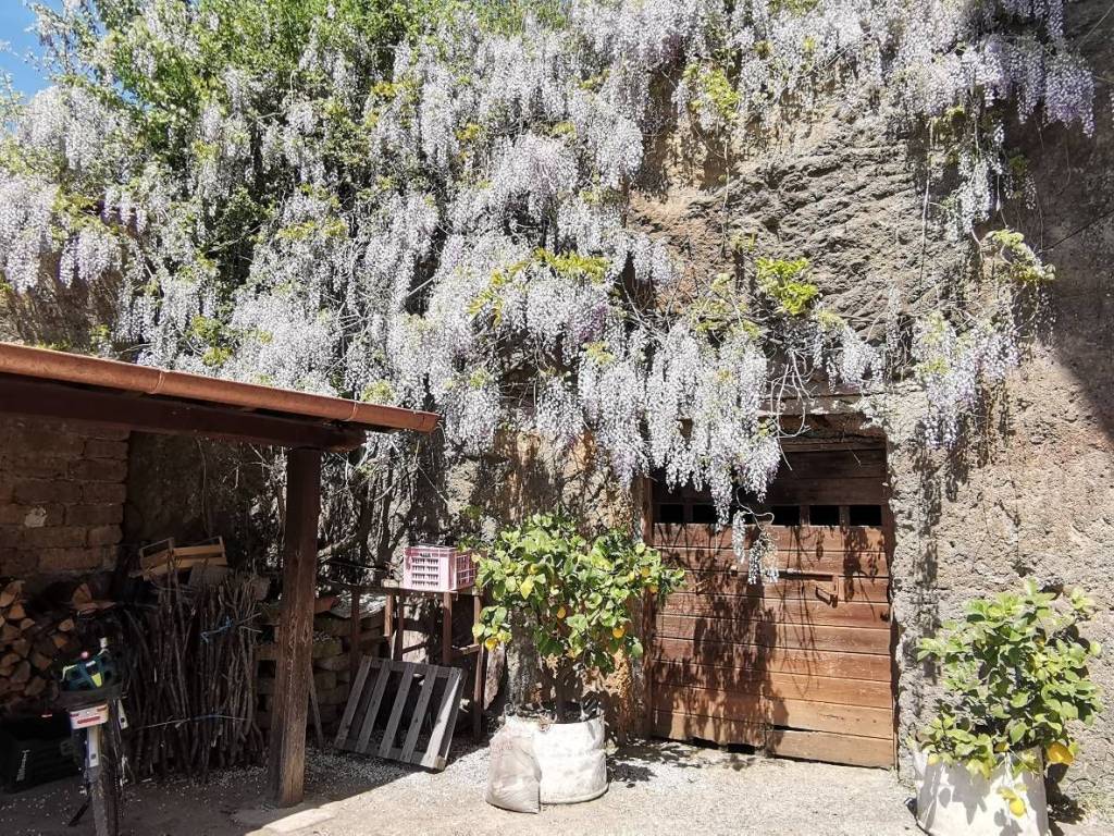 Casa indipendente a Vetralla in via campo giordano - Foto 3
