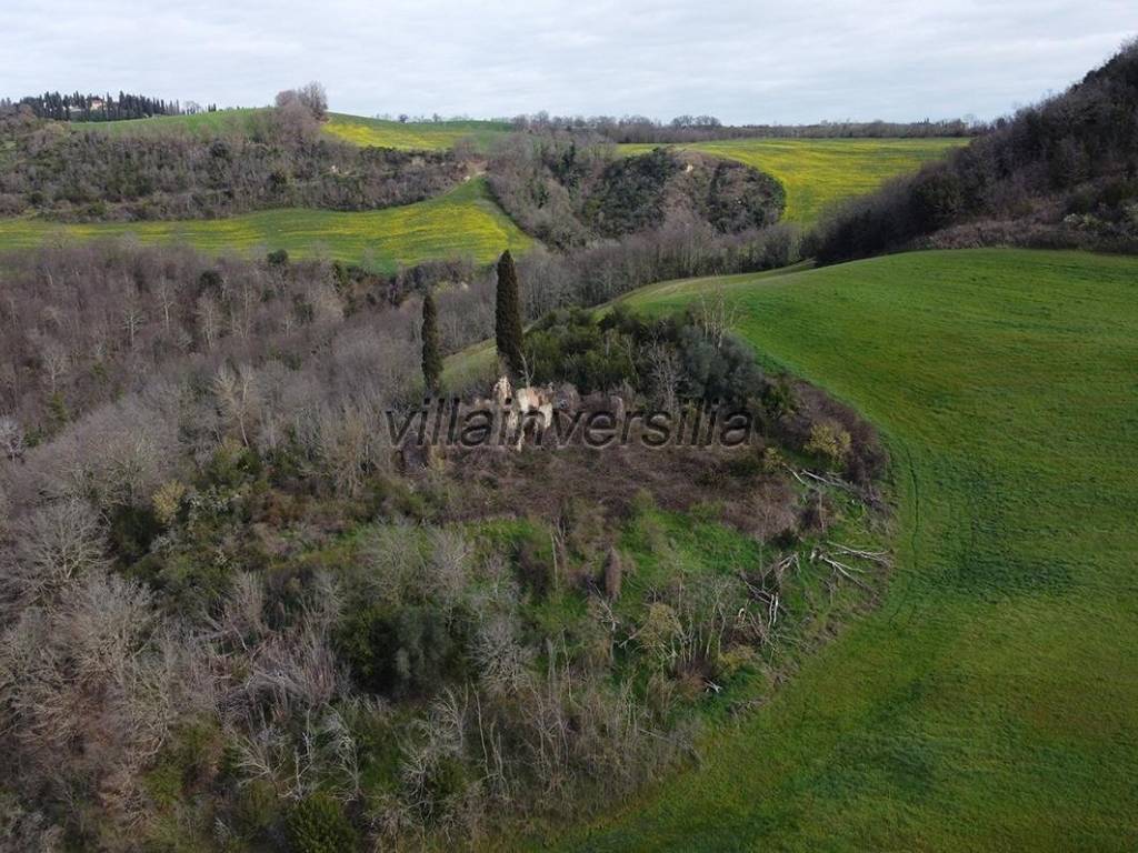 Terreno a Asciano - Foto 2