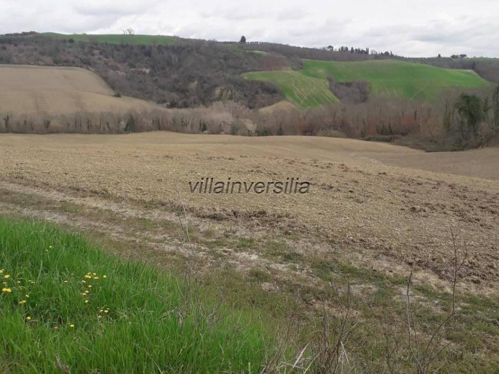 Terreno a Asciano - Foto 5