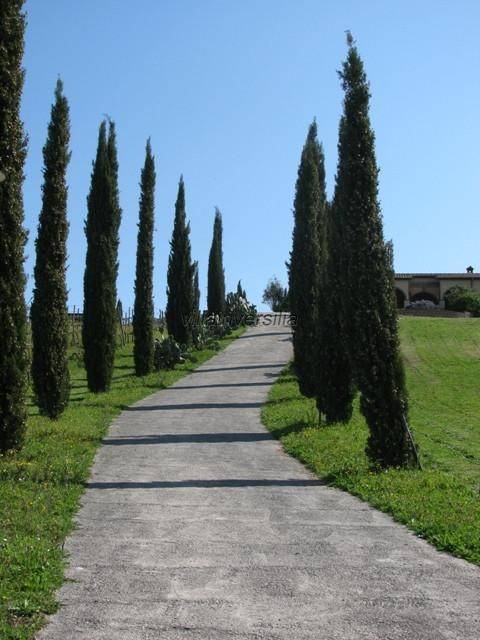 Villa a Manciano - Foto 2