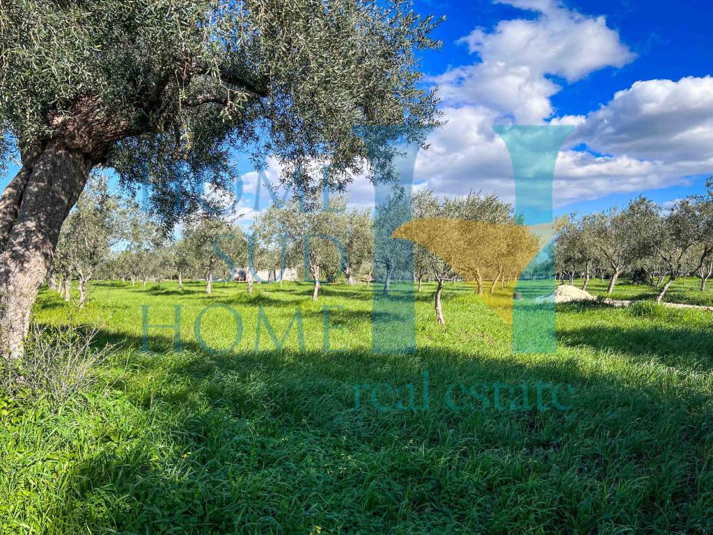 Rustico / casale a Noto in Via Tommaso Fazello, 228 - Foto 2