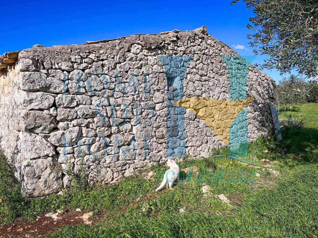 Rustico / casale a Noto in Via Tommaso Fazello, 228 - Foto 3