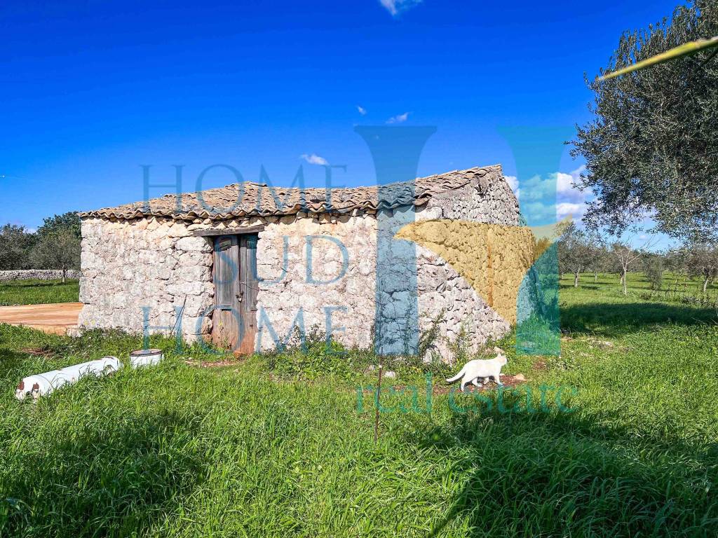 Rustico / casale a Noto in Via Tommaso Fazello, 228 - Foto 5