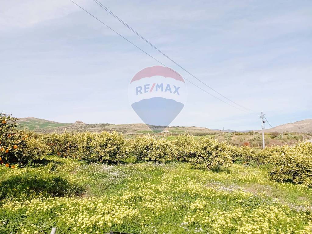 Terreno a Regalbuto in Contrada Miraglia - Foto 2