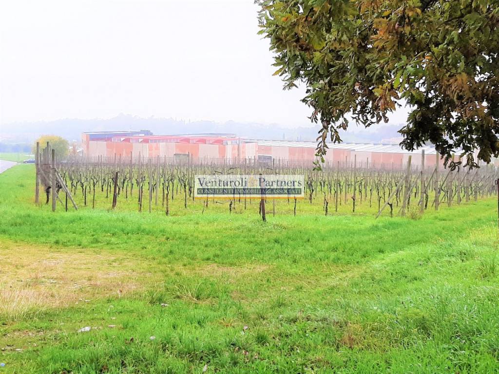 Terreno a Calcinato - Foto 2