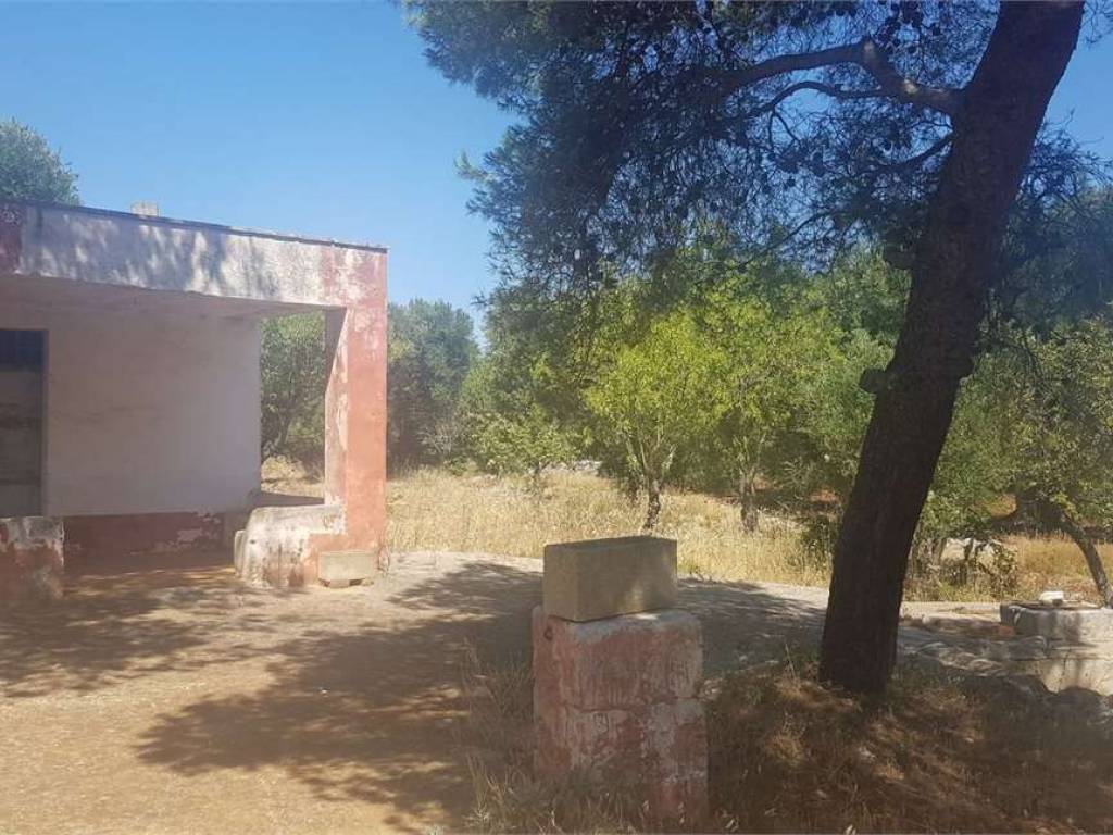 Terreno a Carovigno - Foto 4