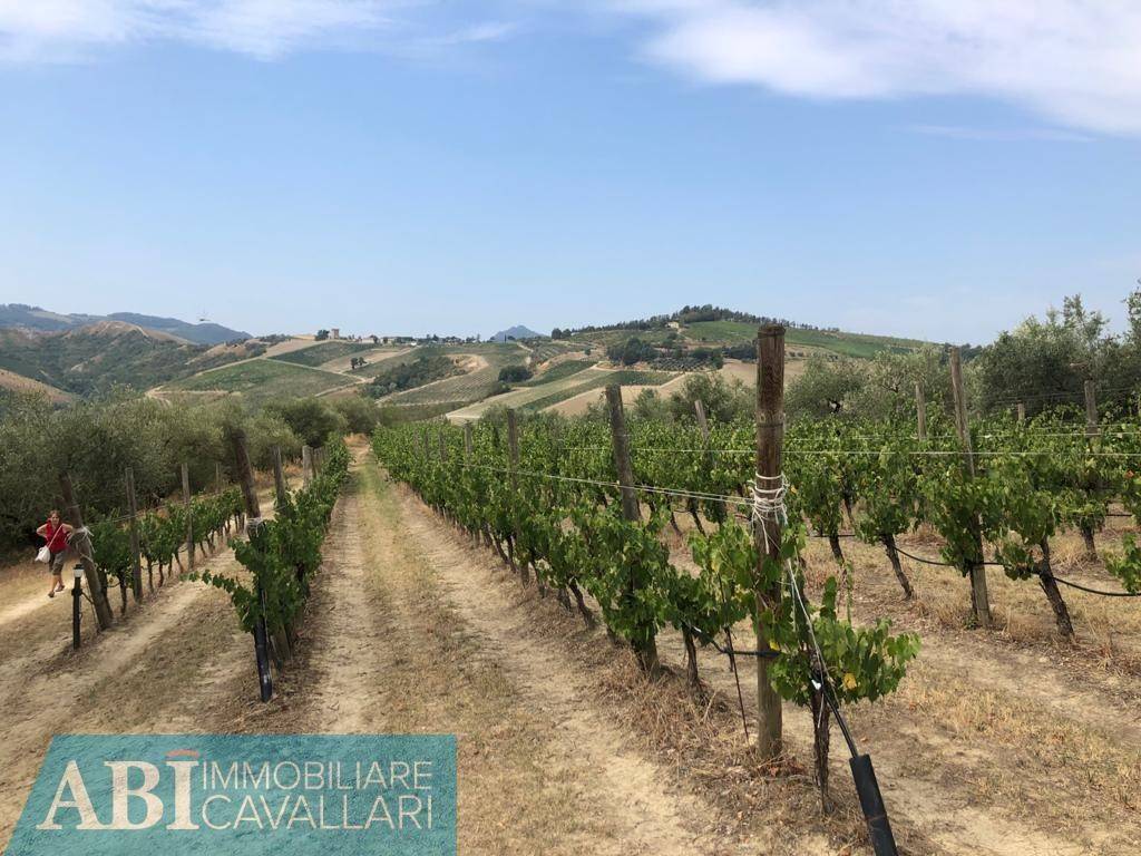 Terreno a Brisighella in VIA RIO CHIE' - Foto 2