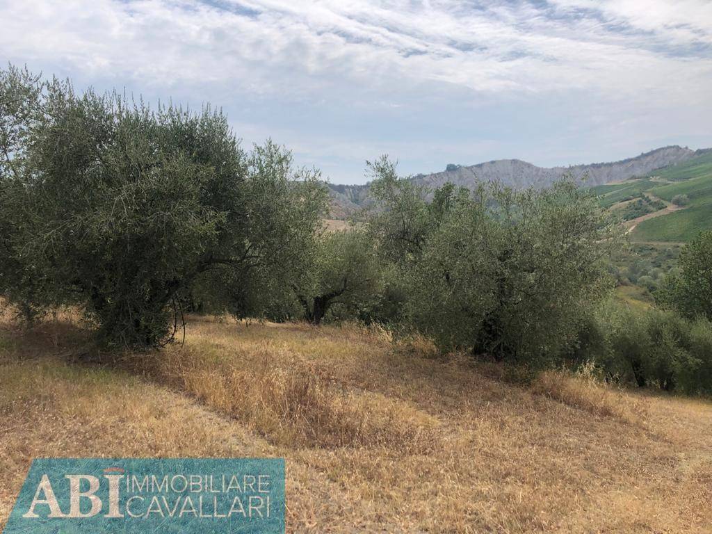 Terreno a Brisighella in VIA RIO CHIE' - Foto 3