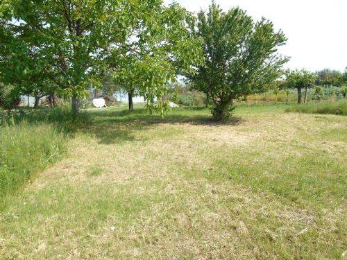 Terreno a Poggio torriana - Foto 2