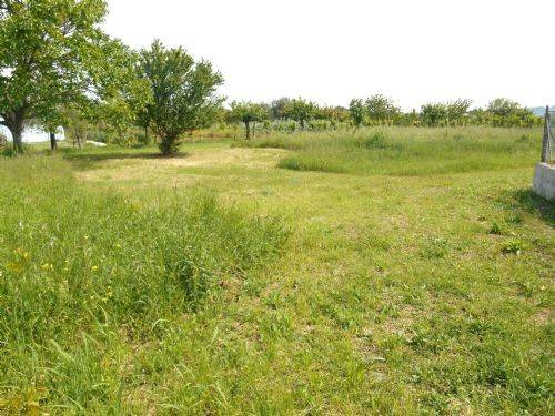 Terreno a Poggio torriana - Foto 4