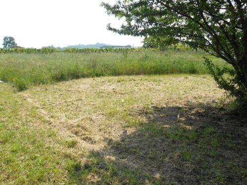 Terreno a Poggio torriana - Foto 5