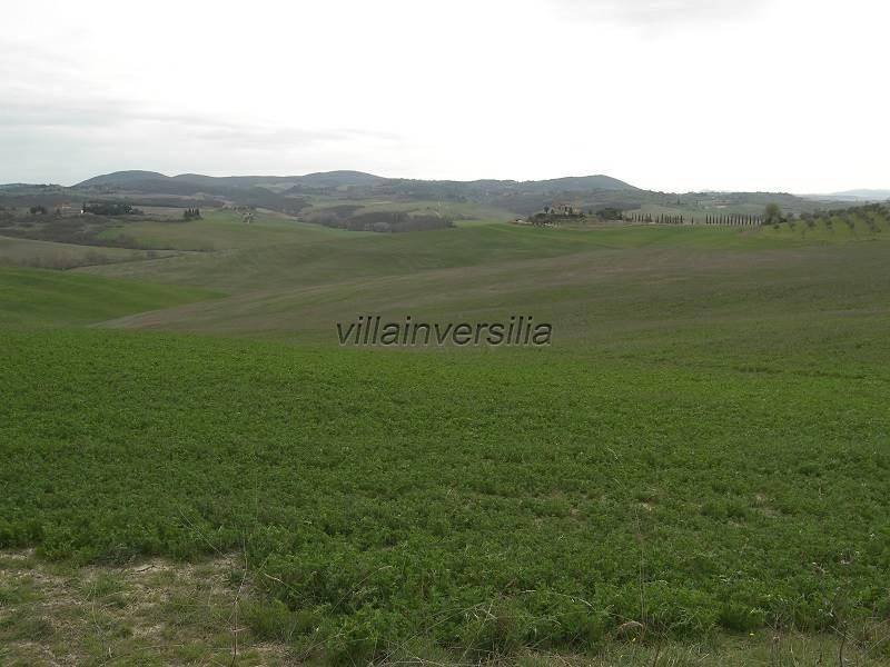 Terreno a Asciano - Foto 2