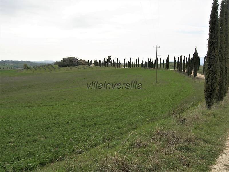 Terreno a Asciano - Foto 5