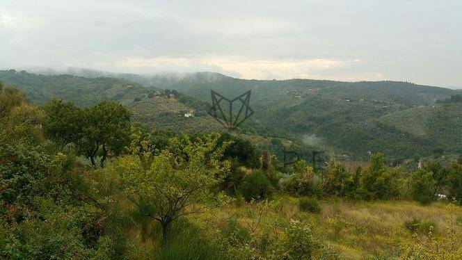 Terreno a Bettona in Strada Provinciale delle Cinque Querce - Foto 3