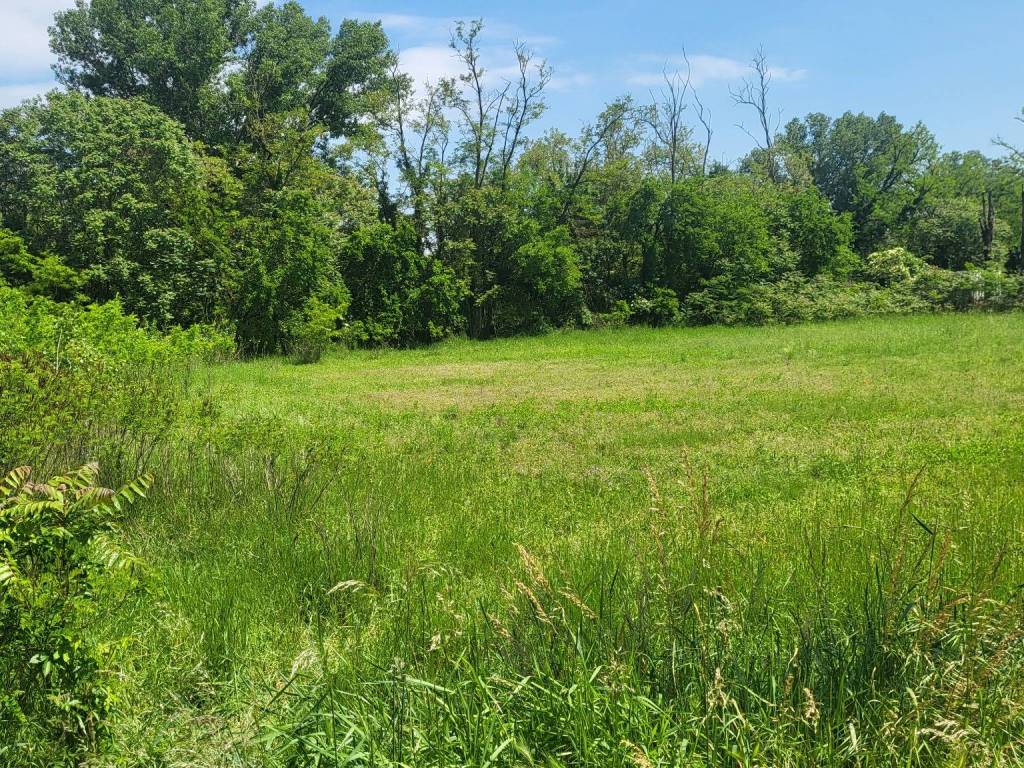 Terreno a Lodi in Via Napoli - Foto 3