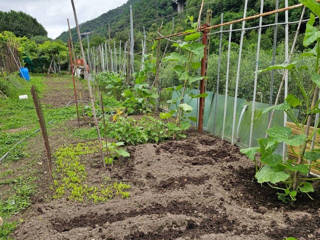 Terreno a Quiliano in Via Tecci - Foto 3