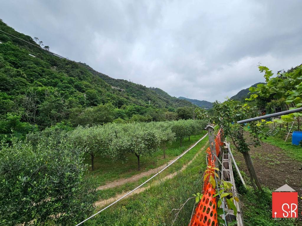 Terreno a Quiliano in Via Tecci - Foto 4
