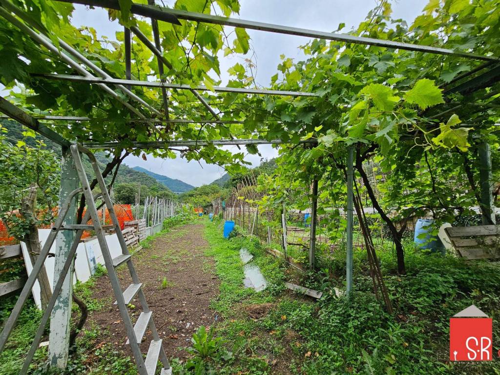 Terreno a Quiliano in Via Tecci - Foto 5