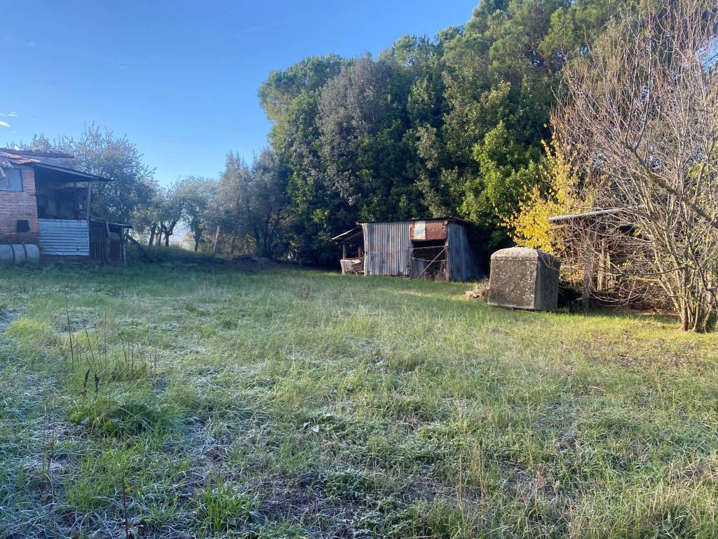 Terreno a Castiglione del lago in Via Pozzuolo, 31 - Foto 5