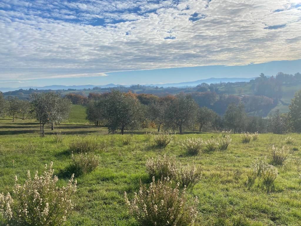 Terreno a Castiglione del lago in Via Pozzuolo - Foto 2