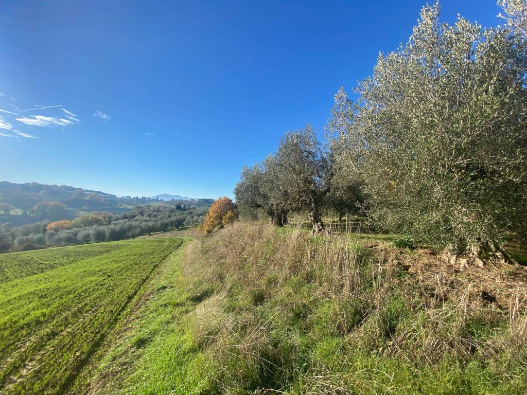 Terreno a Castiglione del lago in Via Pozzuolo - Foto 4
