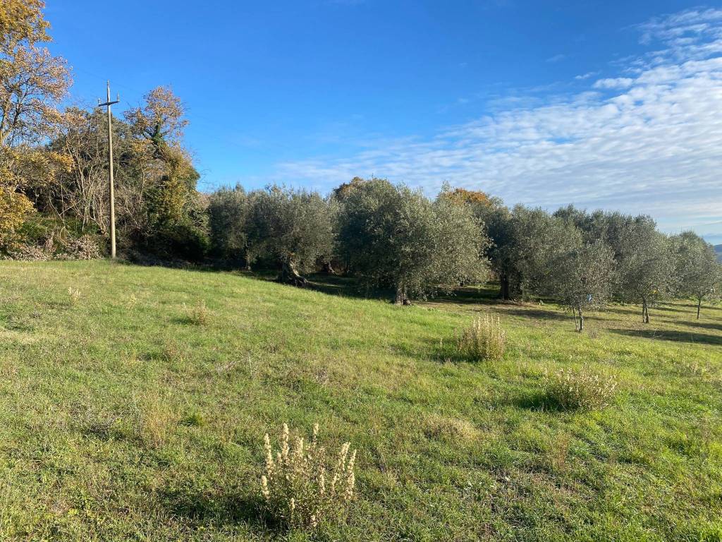 Terreno a Castiglione del lago in Via Pozzuolo - Foto 5