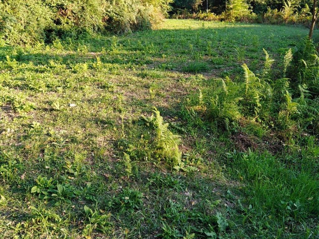 Immobile a Teano in Via Santa Monica - Foto 5