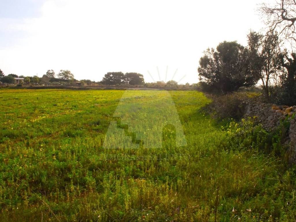 Terreno a Corsano in Strada Monterone - Foto 4