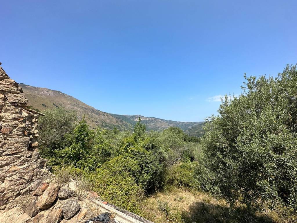 Terreno a Galati mamertino in contrada Nipotelli - Foto 2