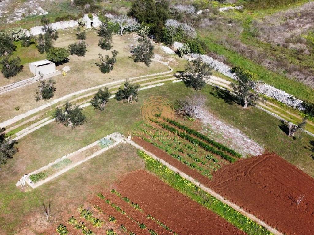 Terreno a Alessano in Strada Vicinale Monticarusi - Foto 4