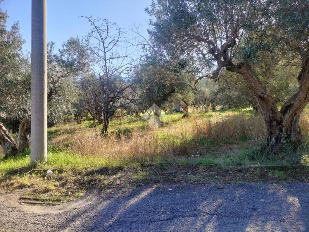 Terreno a Cosenza in Località Donnici - Foto 2
