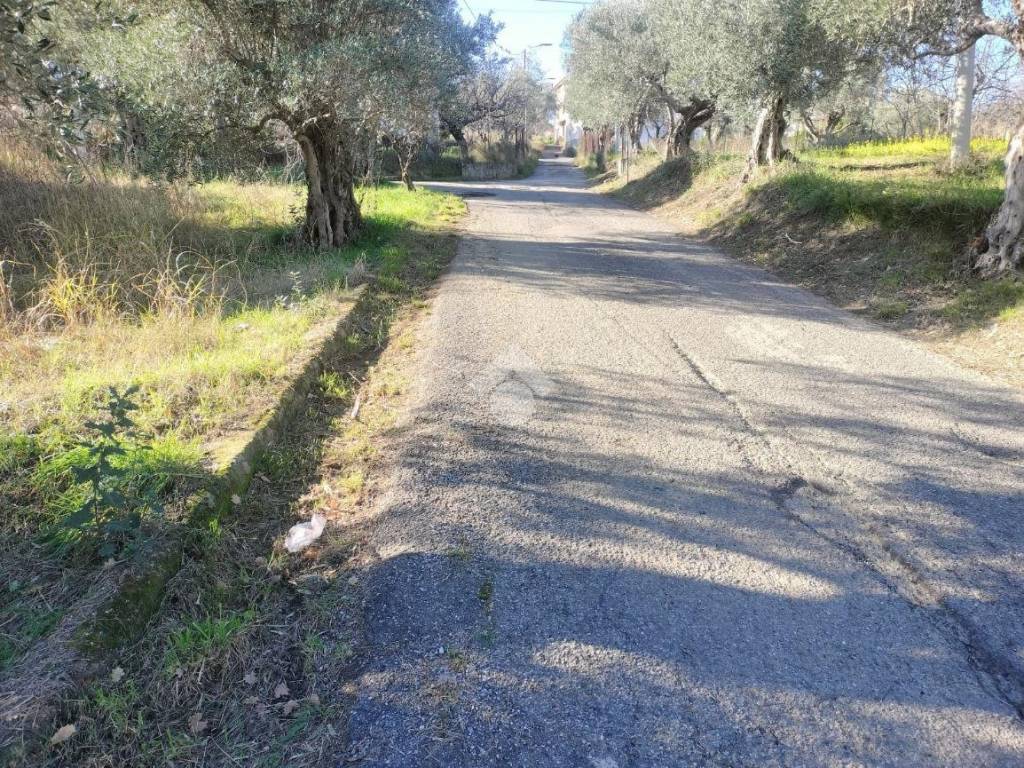 Terreno a Cosenza in Località Donnici - Foto 4