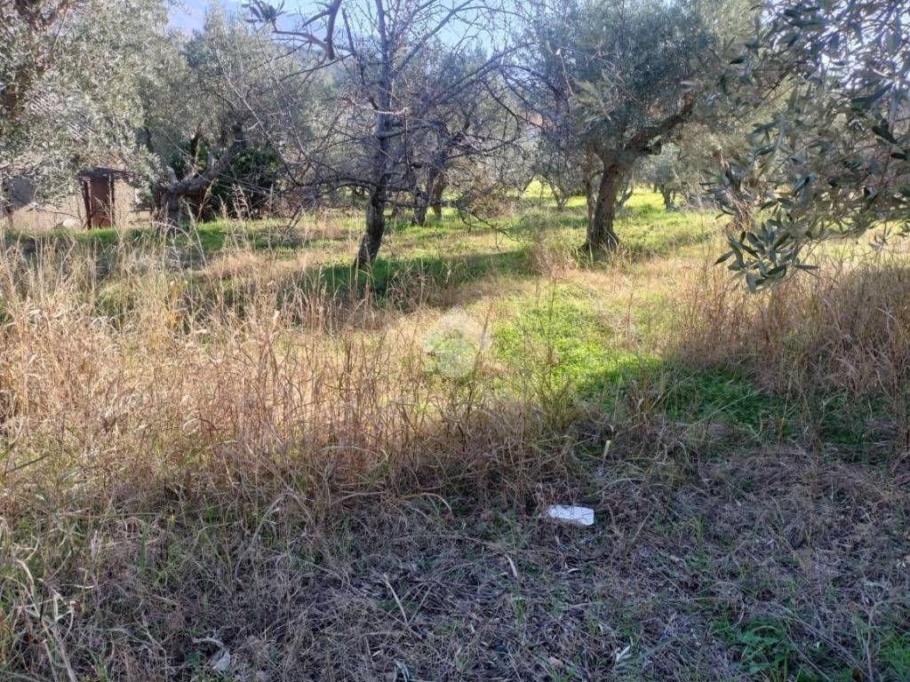 Terreno a Cosenza in Località Donnici - Foto 5
