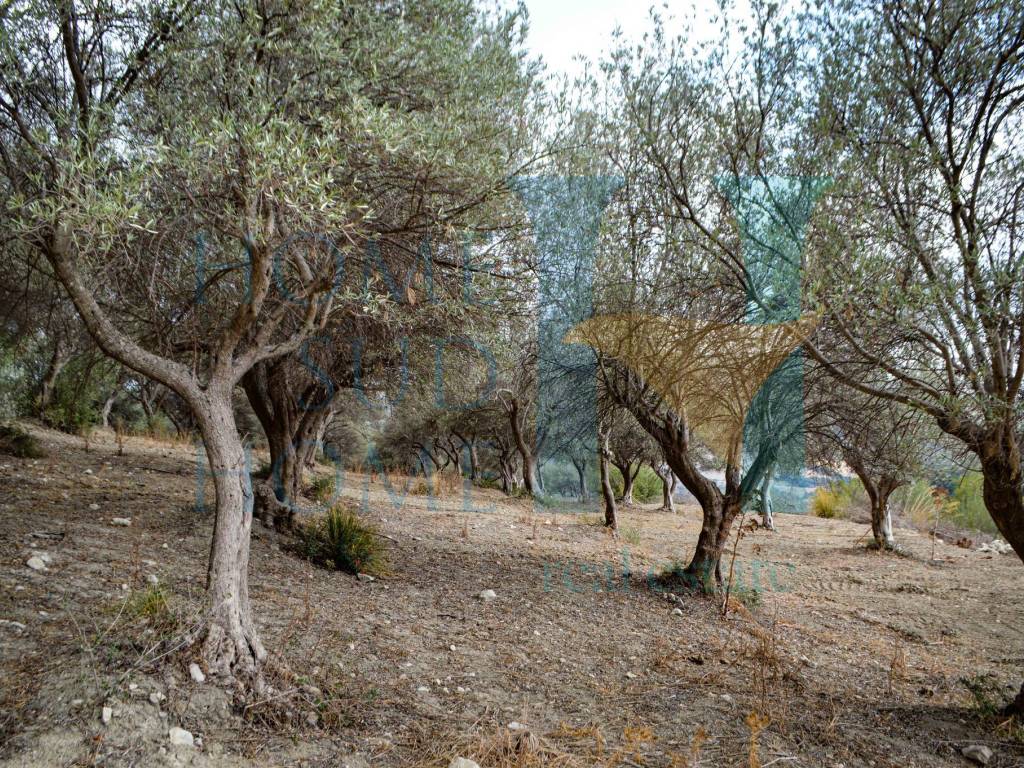 Rustico / casale a Noto in Via Tommaso Fazello, 228 - Foto 4