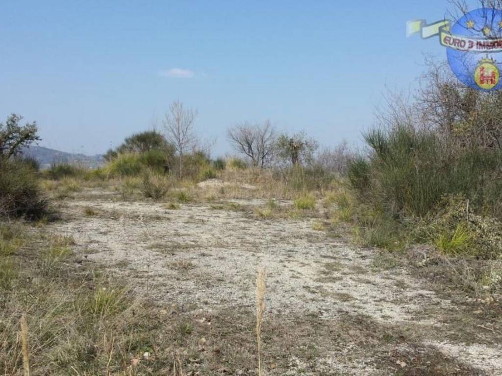 Terreno a Montalto delle marche - Foto 2