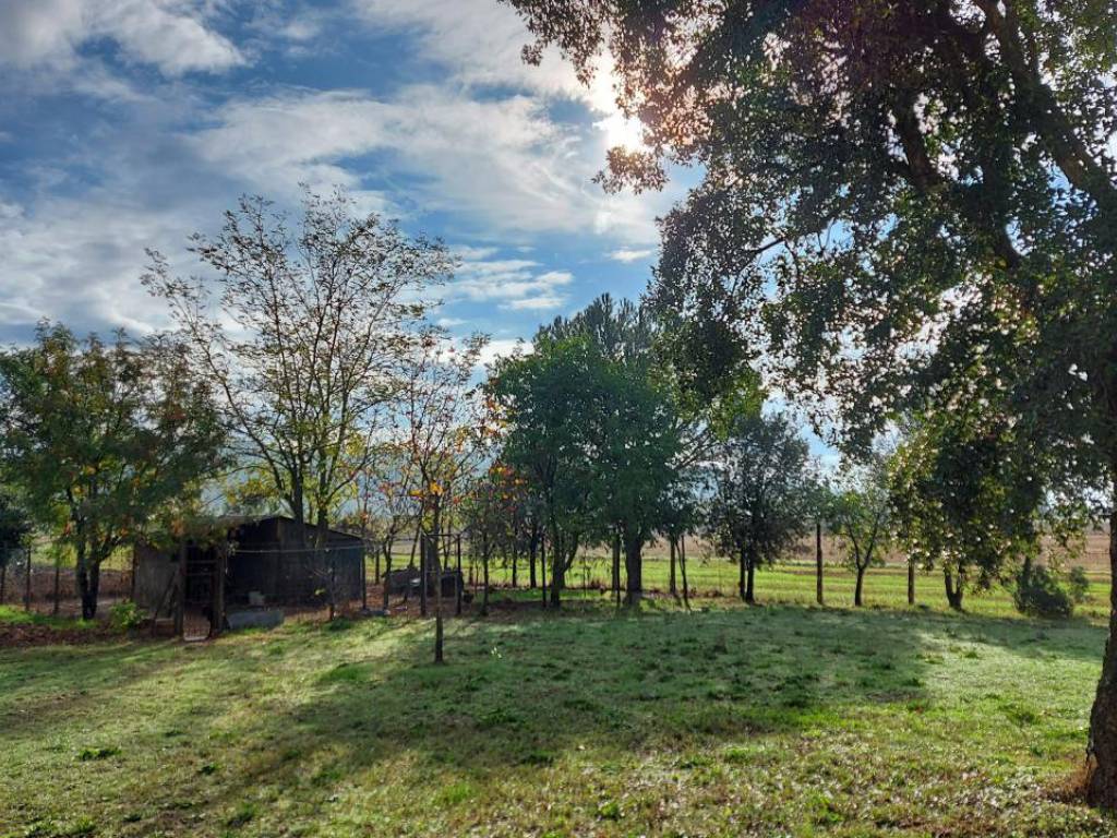 Villa a Gavorrano in Strada Provinciale Castellaccia - Foto 2