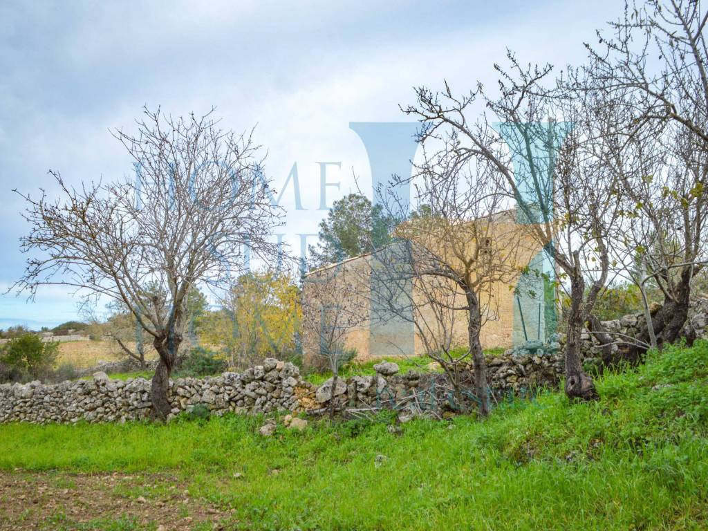 Rustico / casale a Noto in Via Tommaso Fazello, 228 - Foto 2