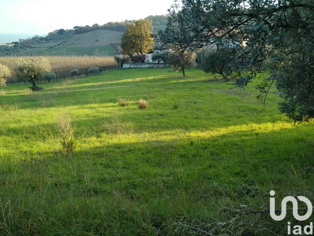 Terreno a Tortoreto in Via Fontanelle - Foto 5