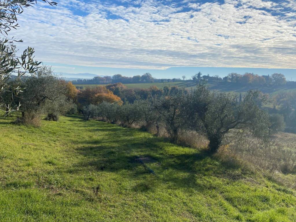 Terreno a Castiglione del lago in Via Pozzuolo - Foto 3