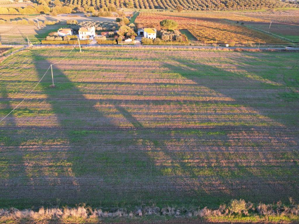 Terreno a Capalbio in Strada Valmarina - Foto 2