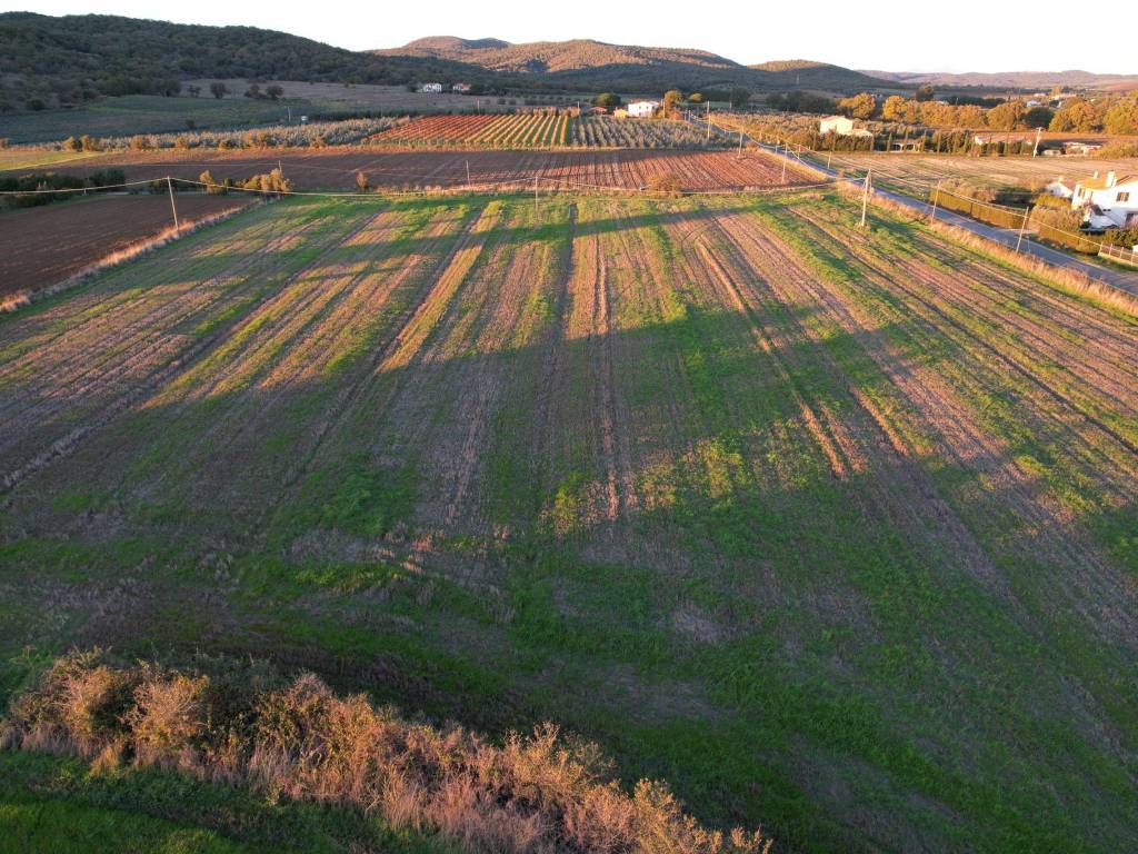 Terreno a Capalbio in Strada Valmarina - Foto 3