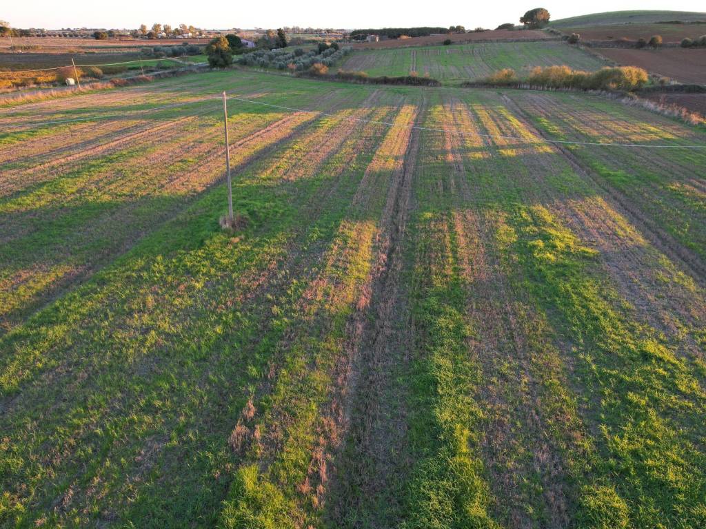 Terreno a Capalbio in Strada Valmarina - Foto 4