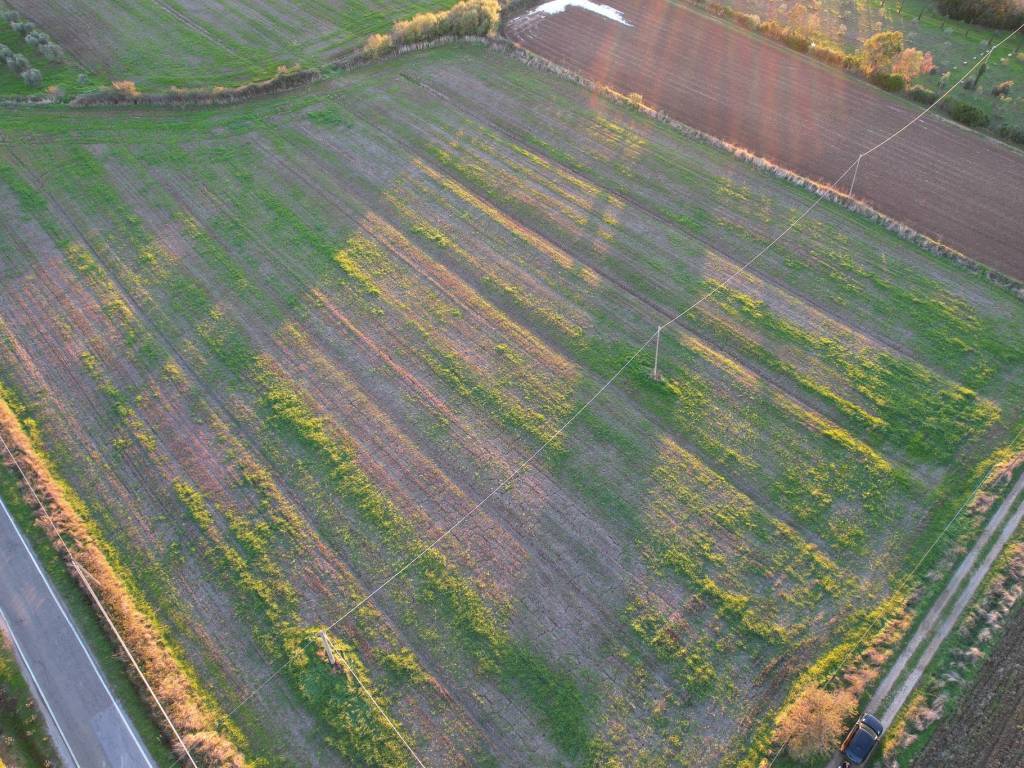 Terreno a Capalbio in Strada Valmarina - Foto 5