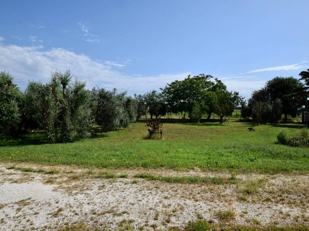Rustico / casale a Campiglia marittima in Via Aurelia Sud - Foto 4