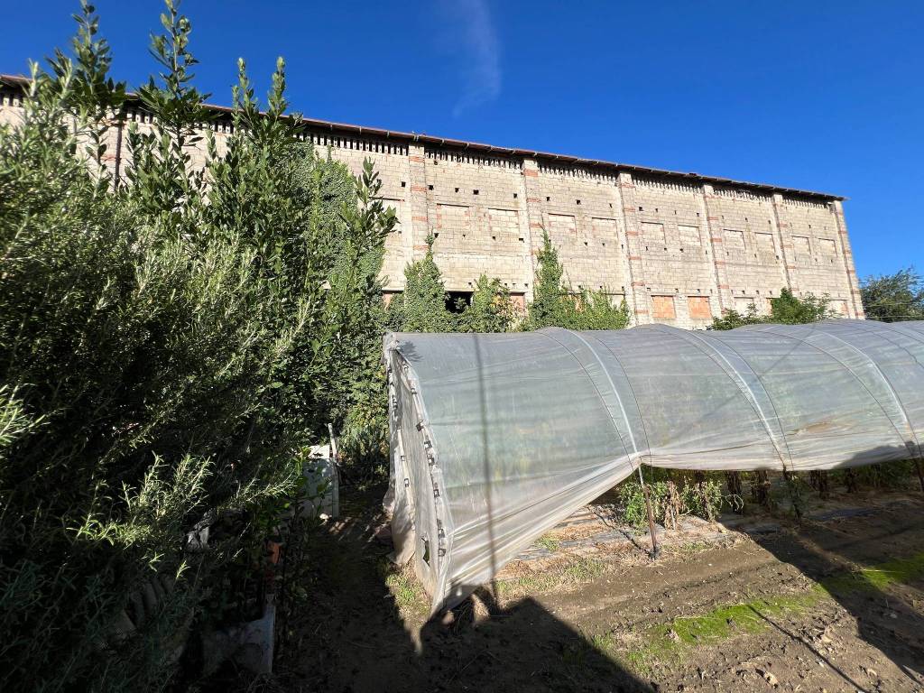 Terreno a Isola della scala in Via Mandella - Foto 4