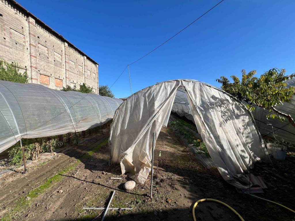 Terreno a Isola della scala in Via Mandella - Foto 5