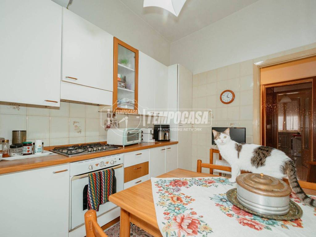 Appartamento a Vigevano in Via mentana 21 - Foto 4