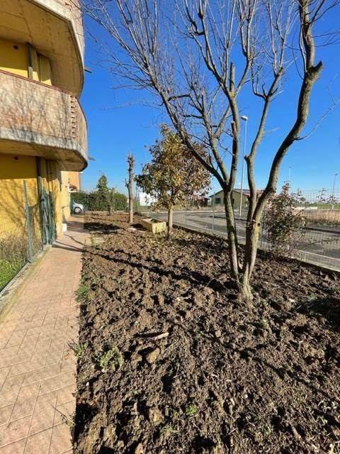 Appartamento a Busseto - Foto 5